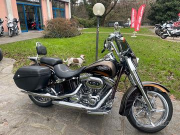 Harley-davidson CVO Softail Convertible