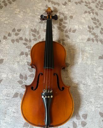 Violino bimbo /a