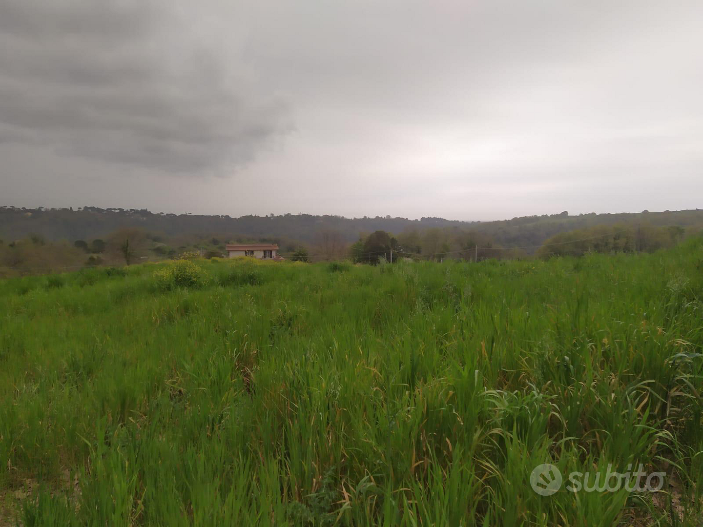 Terreno agricolo - Vista 3