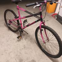 bianchi ragno thomisus 