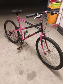 bianchi ragno thomisus 