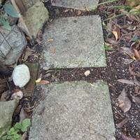 6 Lastroni piastre giardino