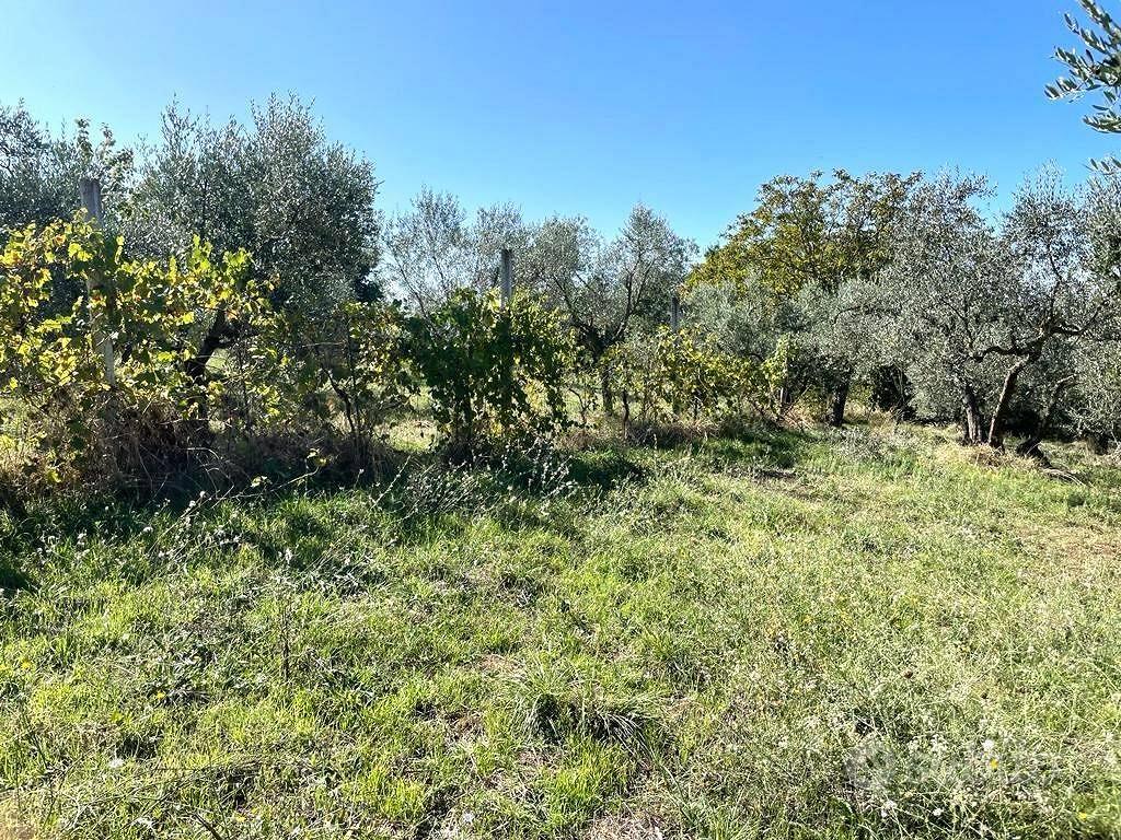 Terreno di 3500 m² a Viterbo - Vista 4