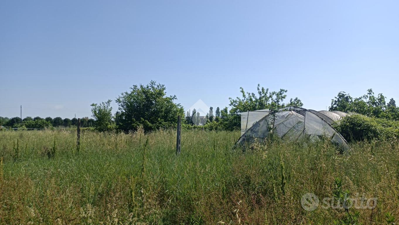 TER. AGRICOLO A LONGIANO - Vista 4