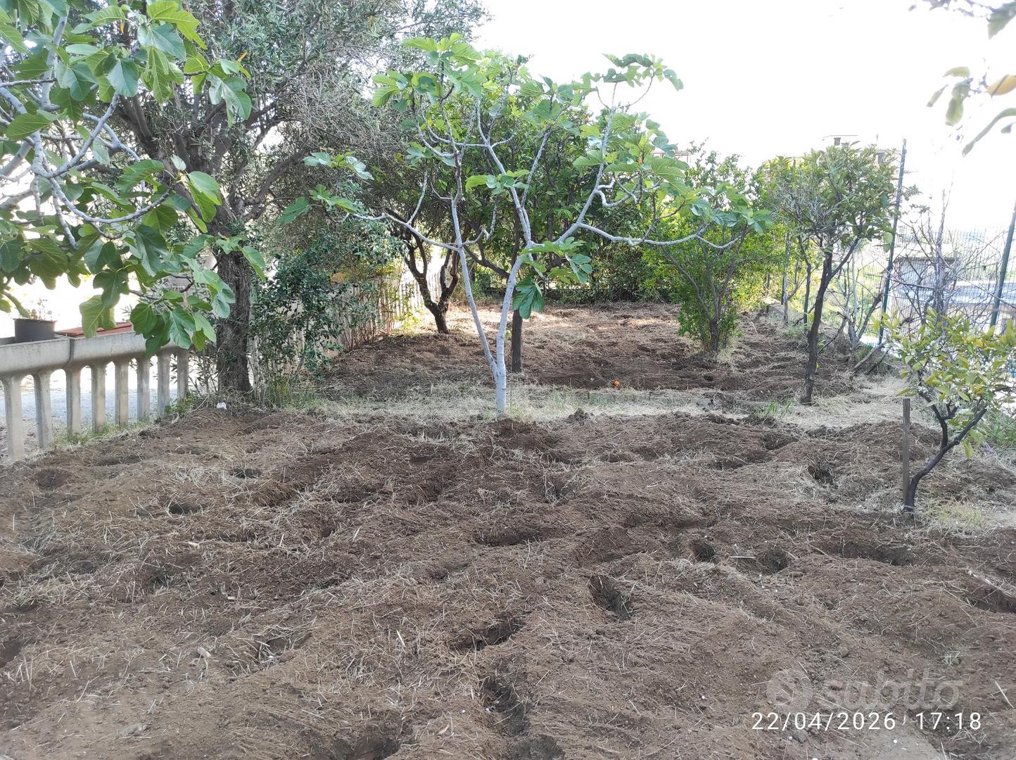 Terreno agricolo a Reggio Calabria - Vista 4