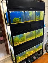 Batteria acquario