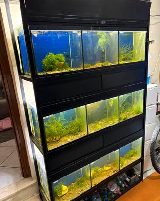 Batteria acquario