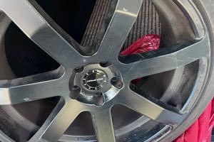 Cechi in lega/ e gomme estive