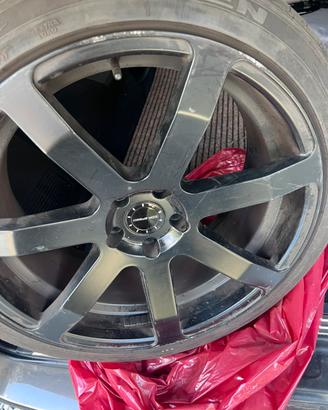 Cechi in lega/ e gomme estive