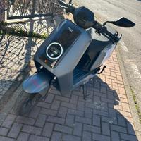 CONCESSIONARIA SAMURAI ORTONA