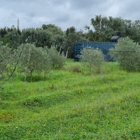 Terreno agricolo irriguo