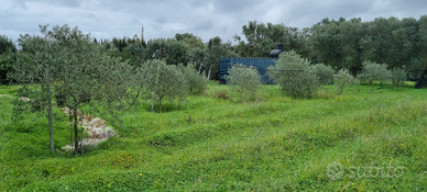 Terreno agricolo irriguo