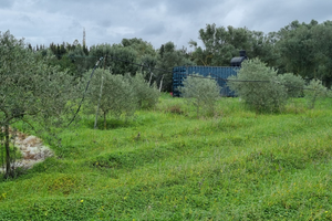 Terreno agricolo irriguo