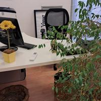 Scrivania da ufficio