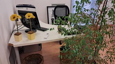 Scrivania da ufficio