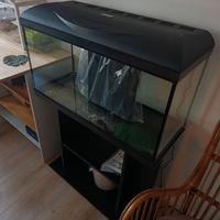 Accquario Amtra Basic Led - 85 l con mobile