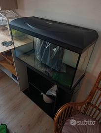 Accquario Amtra Basic Led - 85 l con mobile