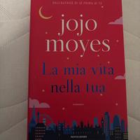 La mia vita nella tua