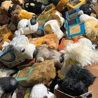 The dog collection cani peluches