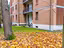 Immagine 27