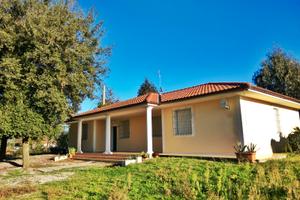 Villa per 8 con parco