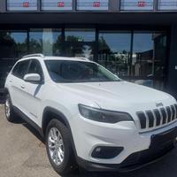 JEEP Cherokee 2.2 Mjt Longitude 4x4
