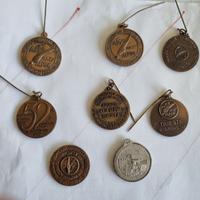 Medaglie Adunate Alpini