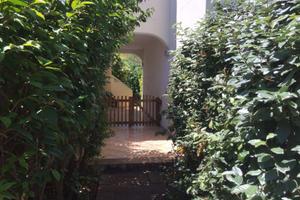 Primo piano per le vacanze estive: SAN TEODORO