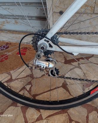 Bici da corsa