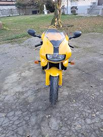 Ducati 900 SS - 1999