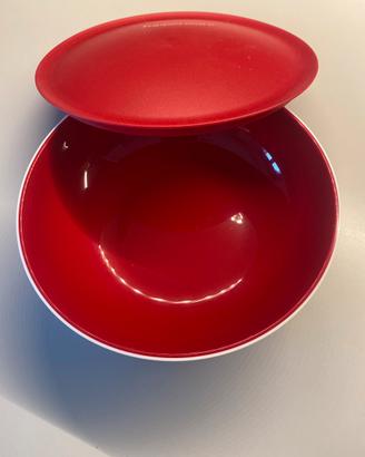 Ciotola Tupperware 1,3l