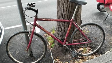 bicicletta