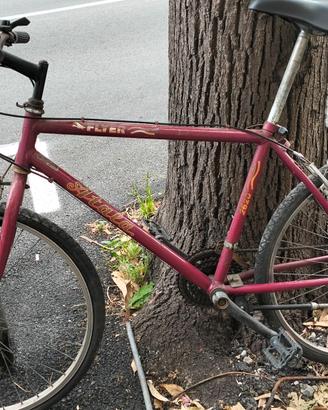 bicicletta