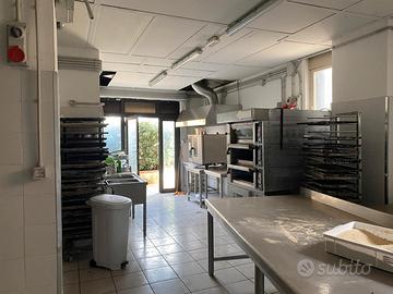 Catania Via Due Obelischi Bottega Alta Visibilità