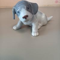 cane Royal Copenaghen 