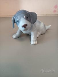 cane Royal Copenaghen 