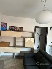 Mobile soggiorno con mobile TV