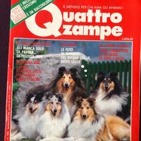 Quattro zampe 7-1992