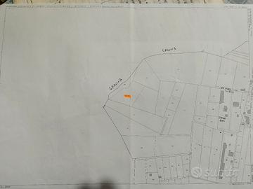 Terreno agricolo