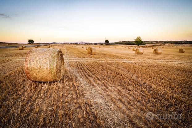 Monselice - Terreno agricolo