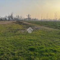 TER. AGRICOLO A BELGIOIOSO