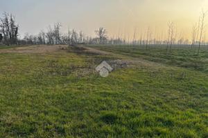 TER. AGRICOLO A BELGIOIOSO
