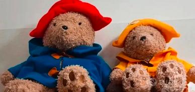 coppia orsi paddington bear collezione 