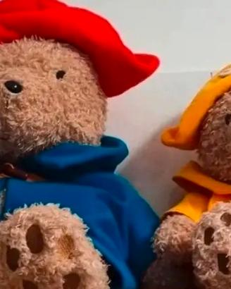 coppia orsi paddington bear collezione 