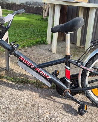 cammello bici traino bambini redfox