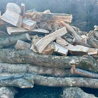 Legna da ardere fresca appena tagliata e spaccata