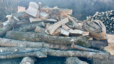 Legna da ardere fresca appena tagliata e spaccata