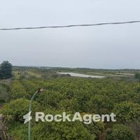 VILLETTA IMMERSA NEL VERDE CON PISCINA