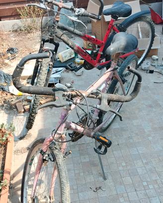 Coppia biciclette Mountain bike uomo/donna