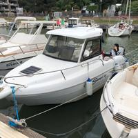 Saver 590 cabin fiscer 40 cv